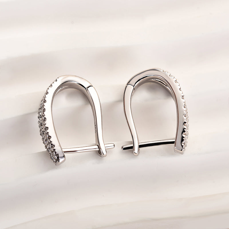 Luxury Round Moissanite Earrings in 18K White Gold