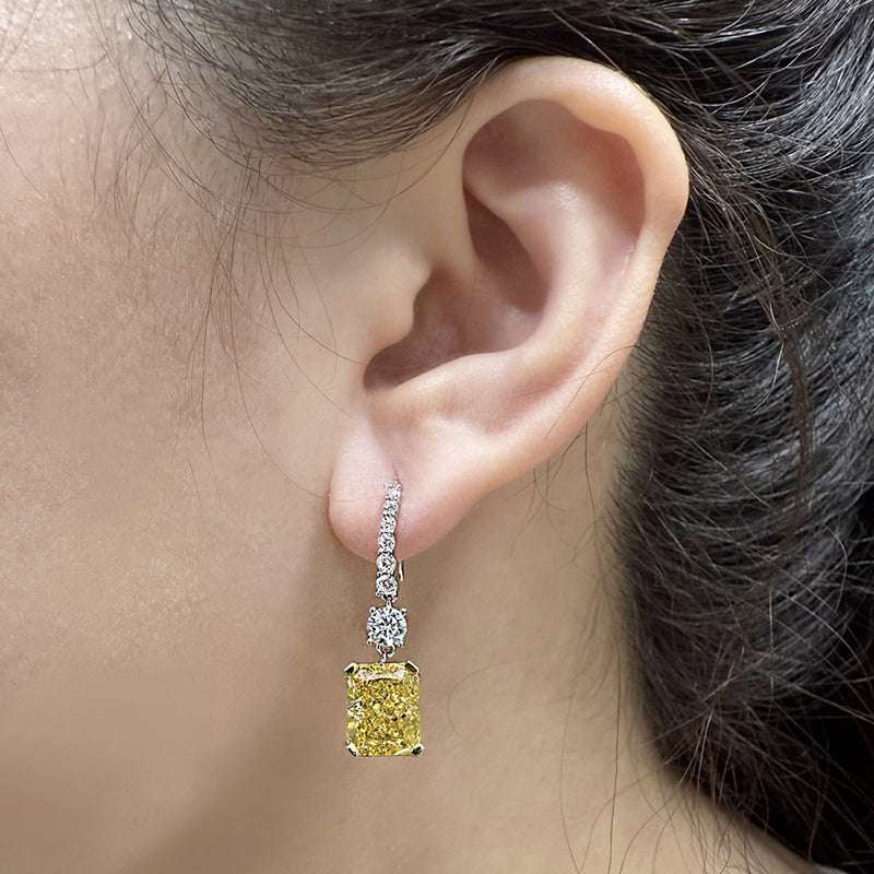 Sterling Silver Earrings with 4.0ct Zircon